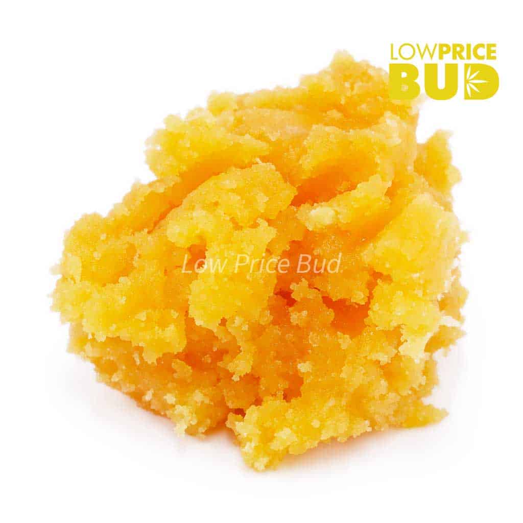 Caviar – White Rhino Buy Caviar – White Rhino online Canada