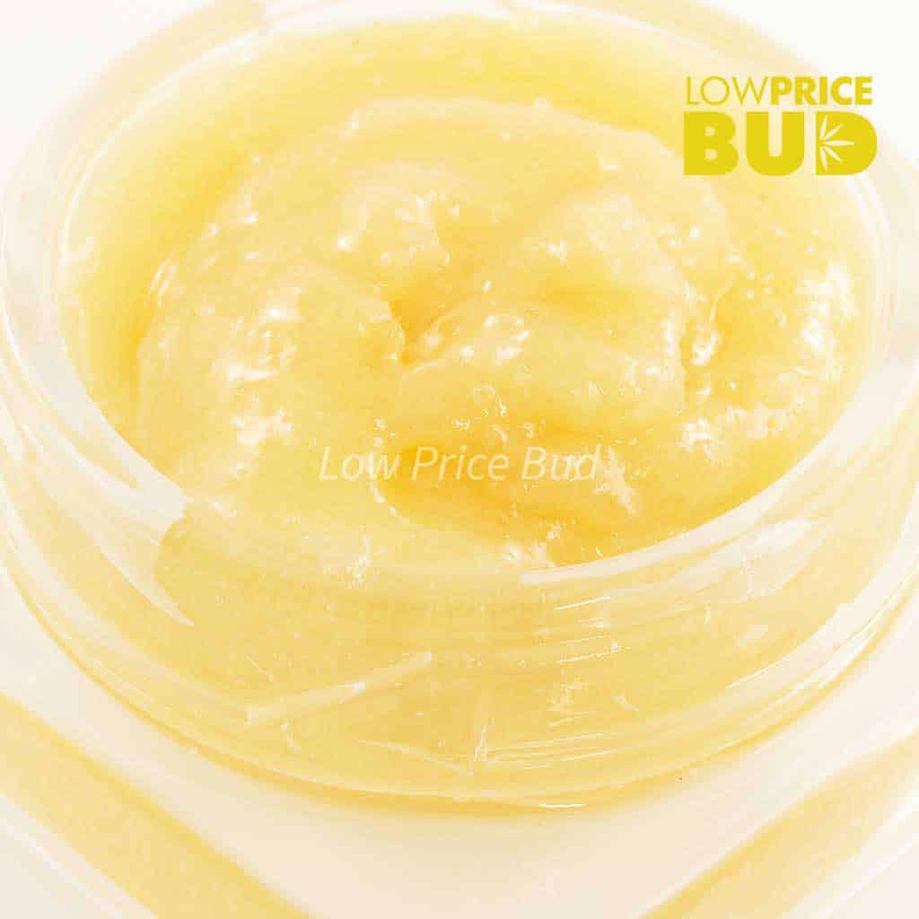 Buy Caviar – Death Bubba online Canada