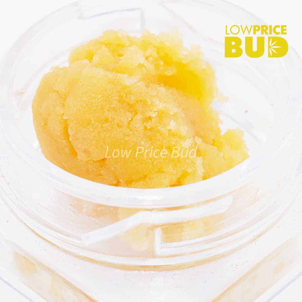 Caviar – El Padrino Buy Caviar – El Padrino online Canada