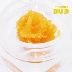 Buy Caviar – Hindu Skunk online Canada