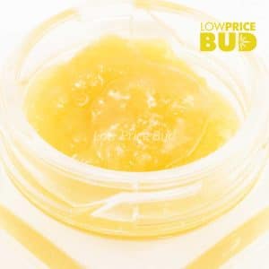 Buy Caviar – Holy Grail online Canada