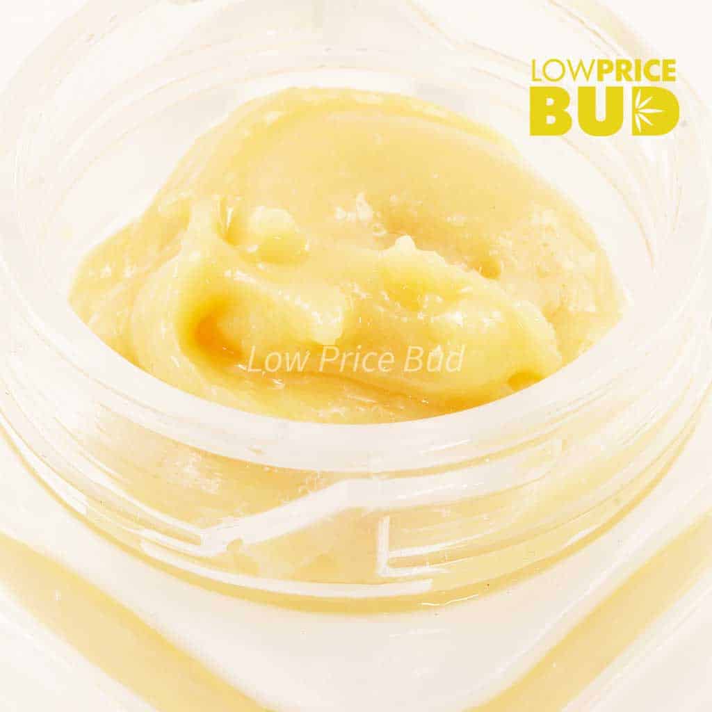 Buy Caviar – Maui Wowie online Canada