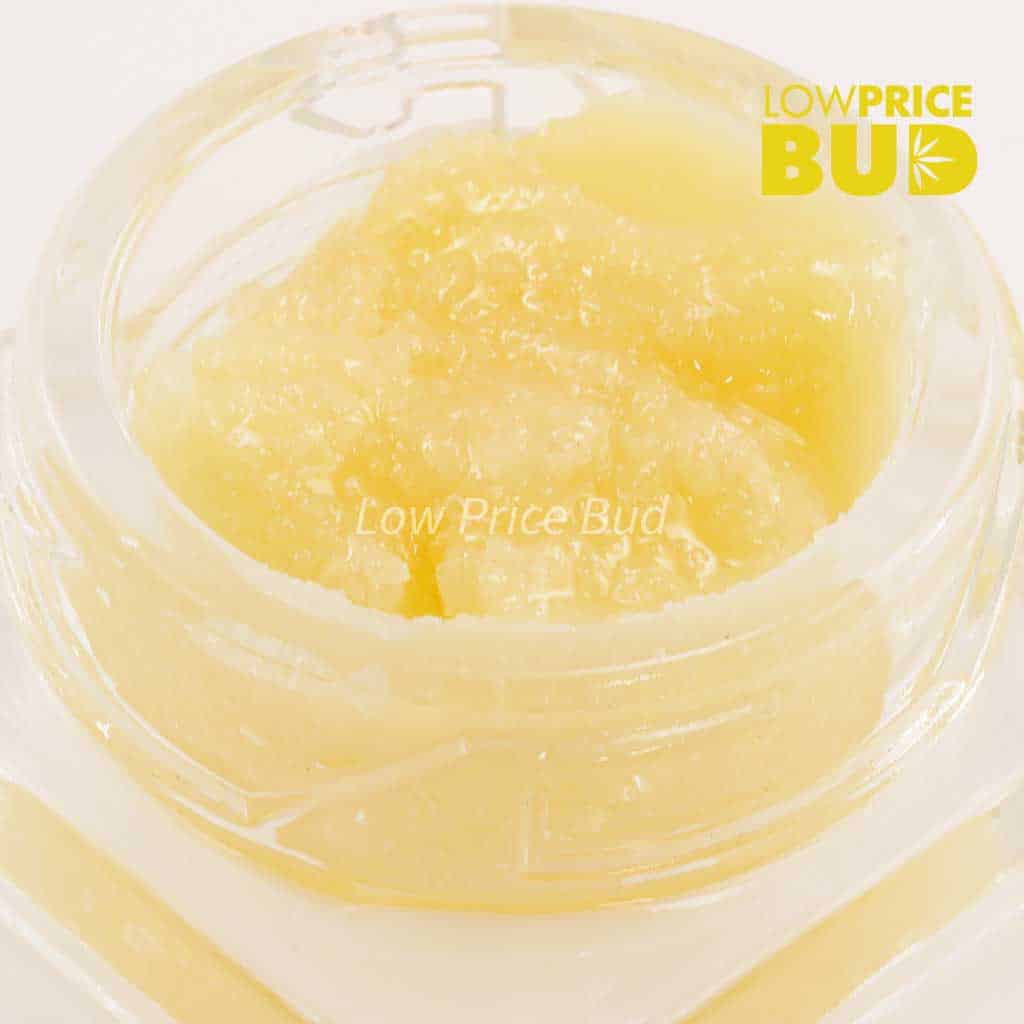 Caviar – Mike Tyson Buy Caviar – Mike Tyson online Canada