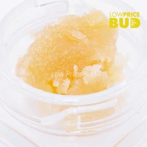 Buy Caviar – Mimosa Punch online Canada