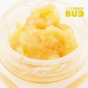 Buy Caviar – Orange Creamsicle online Canada