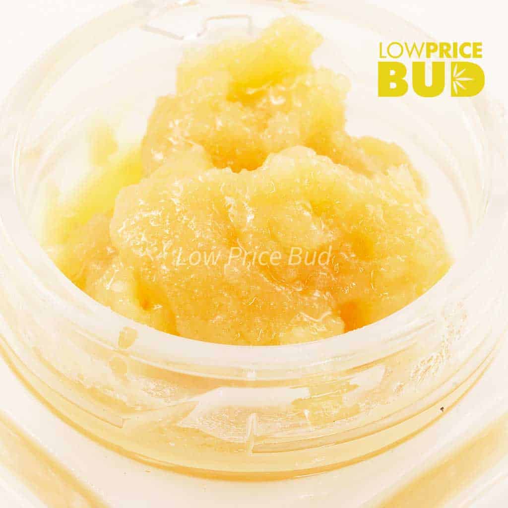 Caviar – Orange Creamsicle Buy Caviar – Orange Creamsicle online Canada
