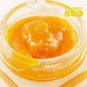 Buy Caviar – Permanent Marker online Canada