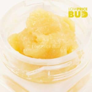 Buy Caviar – Pineapple Godbud online Canada
