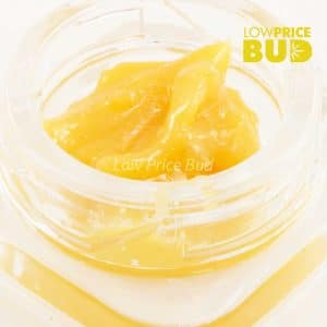 Buy Caviar – Strawberry Cough online Canada