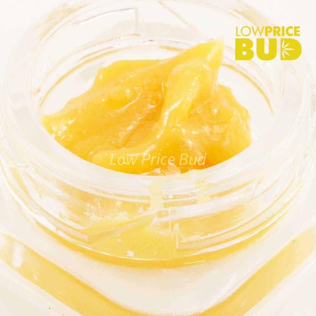 Buy Caviar – Strawberry Cough online Canada