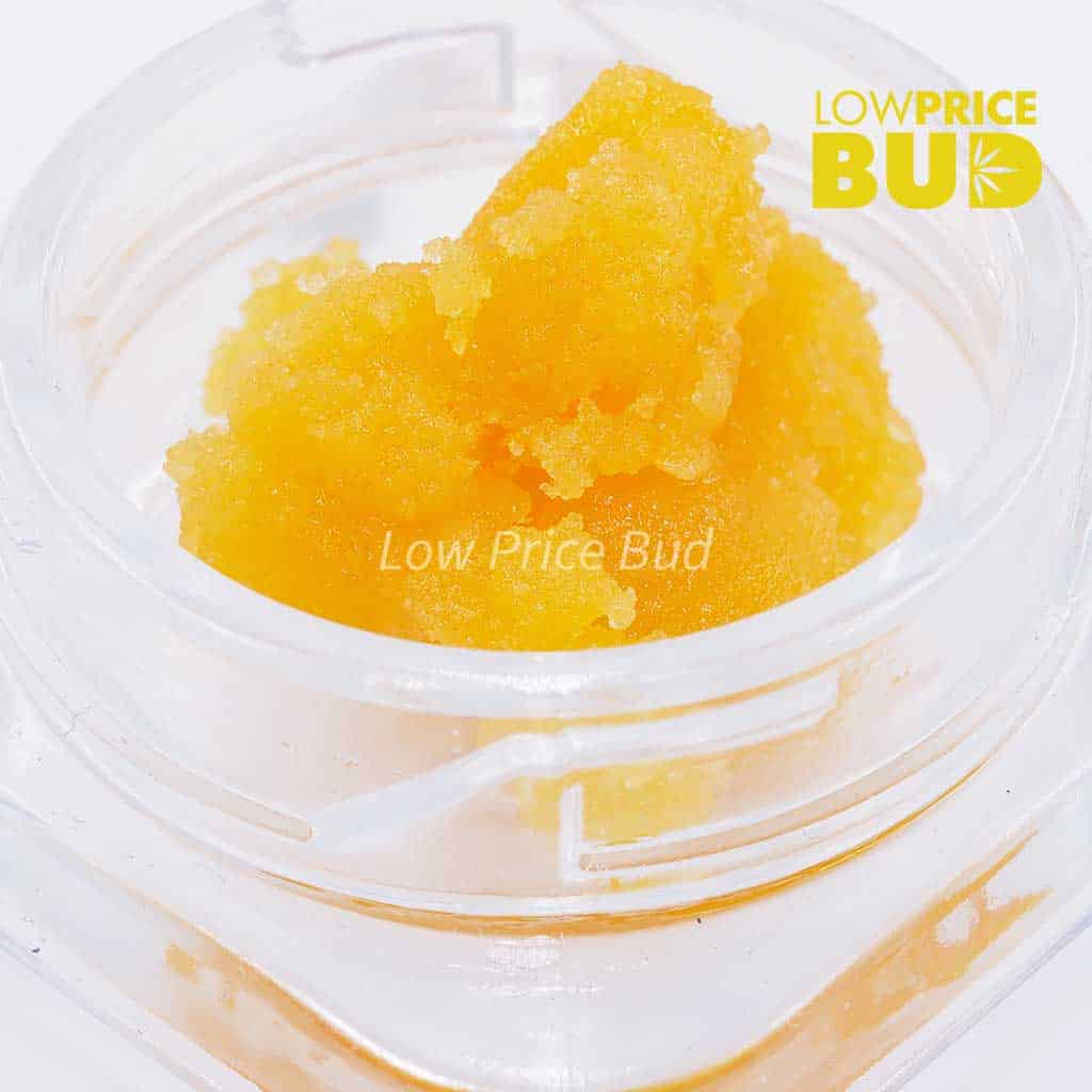 Caviar – White Rhino Buy Caviar – White Rhino online Canada