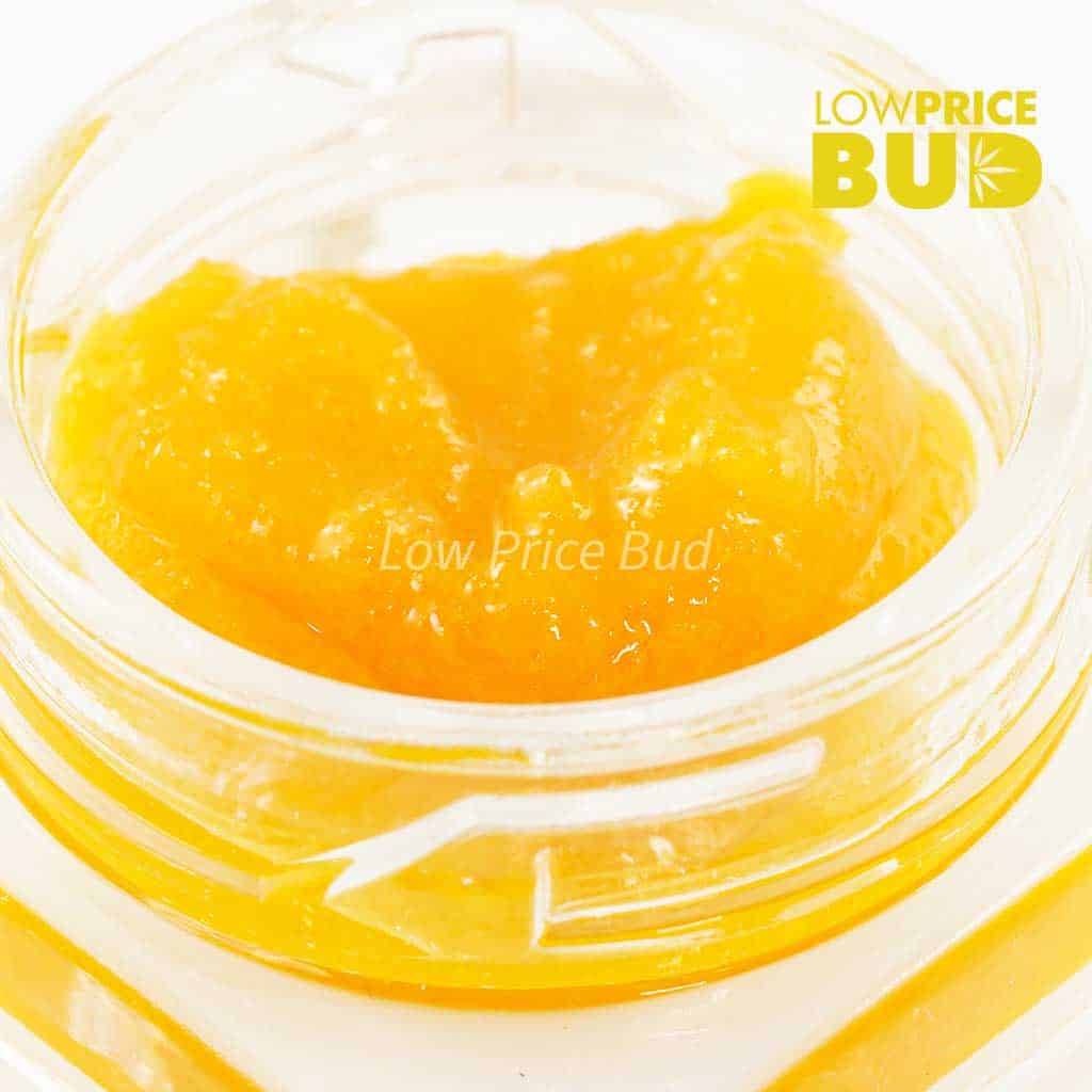 Caviar – White Widow Buy Caviar – White Widow online Canada