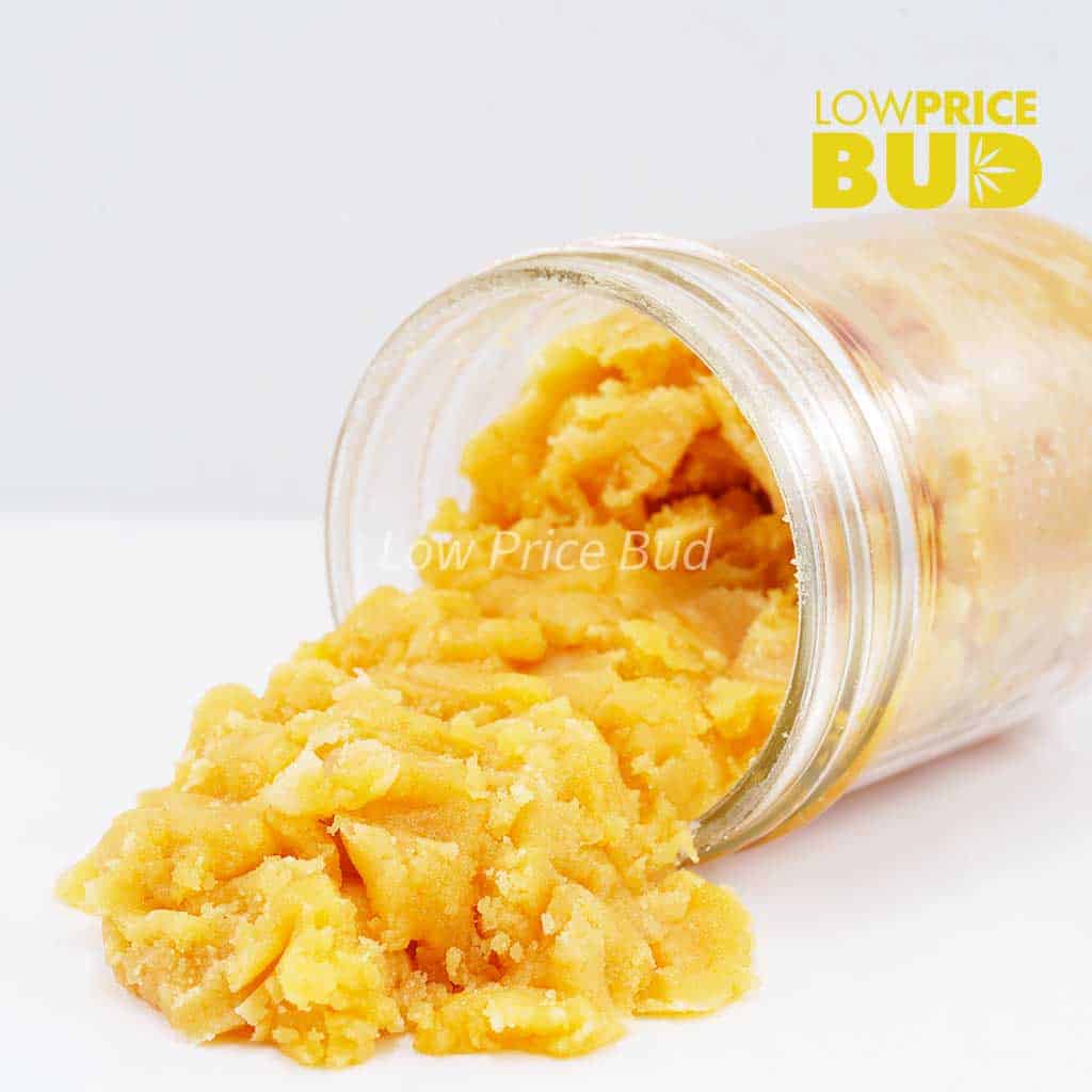 Caviar – El Padrino Buy Caviar – El Padrino online Canada