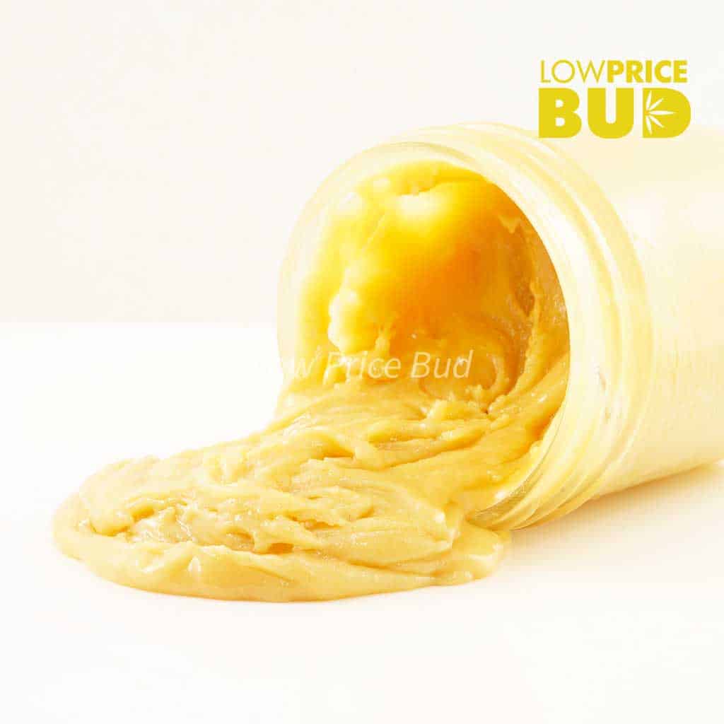 Caviar – Maui Wowie Buy Caviar – Maui Wowie online Canada