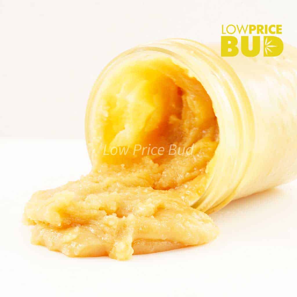 Caviar – Orange Creamsicle Buy Caviar – Orange Creamsicle online Canada