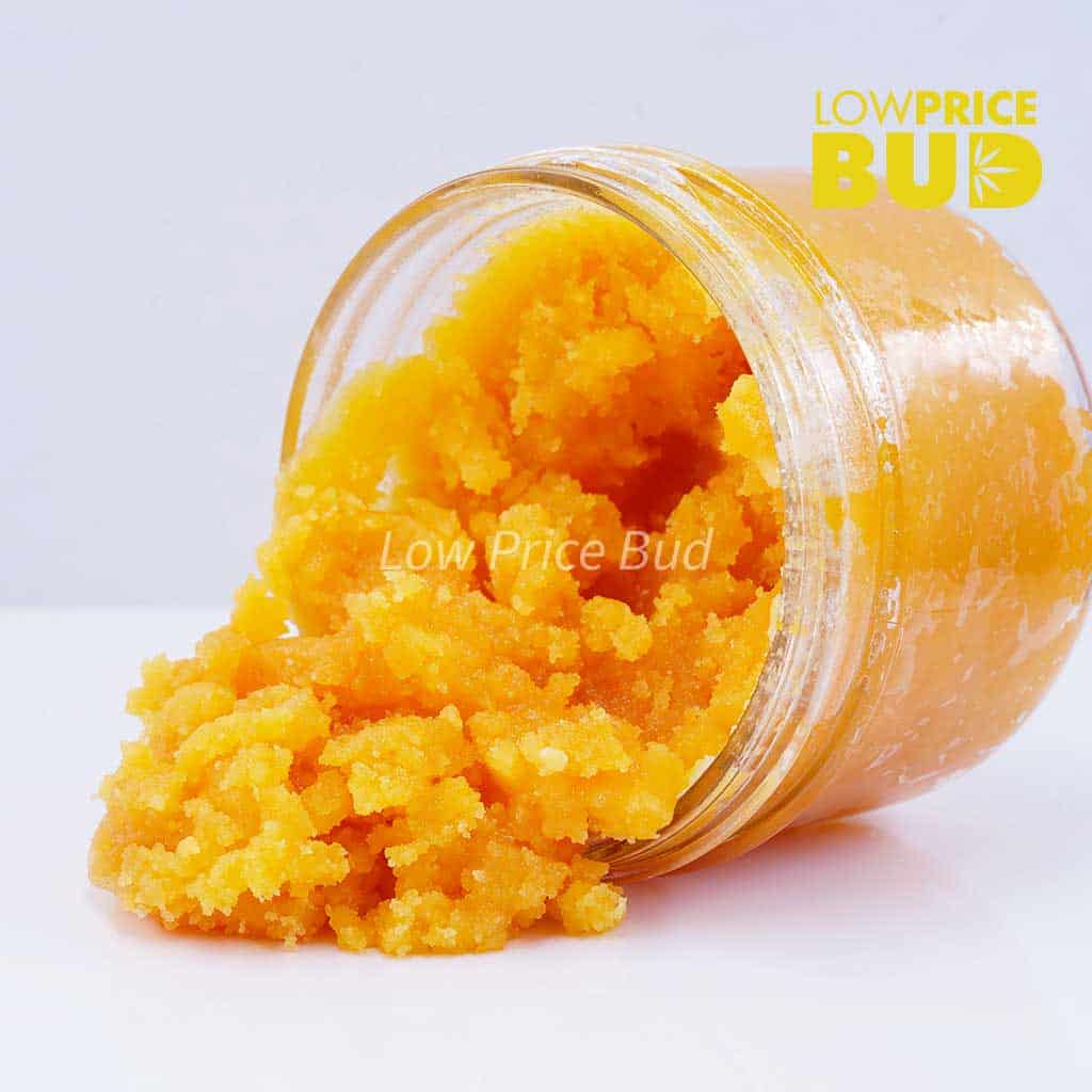 Caviar – White Rhino Buy Caviar – White Rhino online Canada