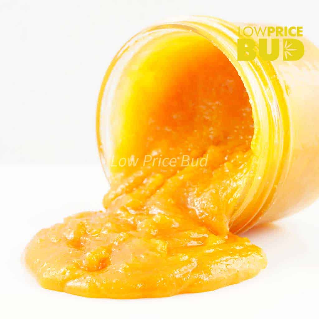 Caviar – White Widow Buy Caviar – White Widow online Canada