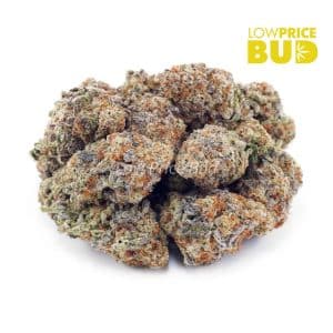 Strawberry Gelato (AAA) Buy Strawberry Gelato (AAA) online Canada