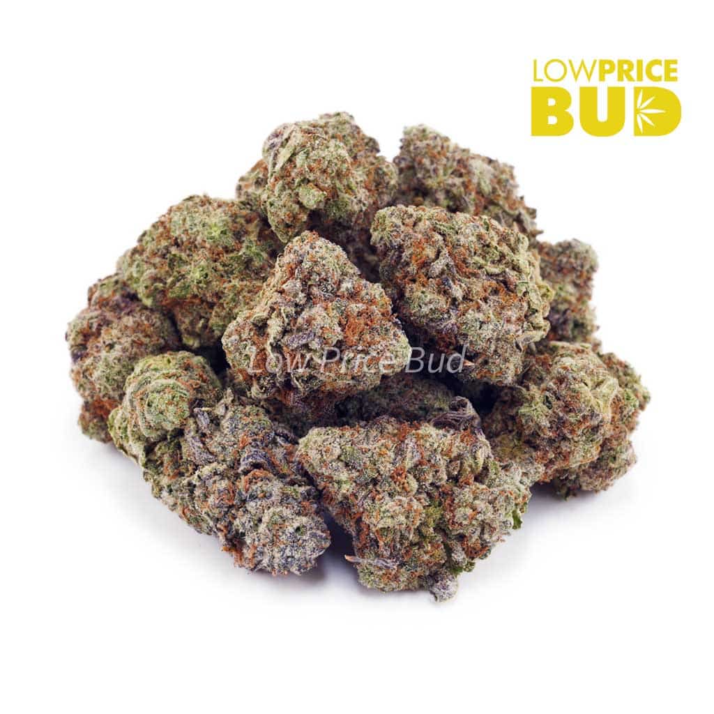 Golden Goat (AAAA) Buy Golden Goat (AAAA) online Canada