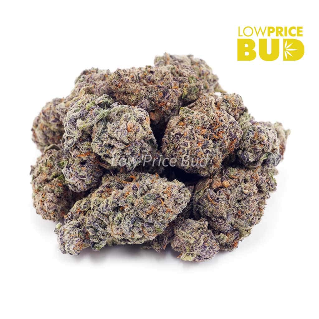 Monster Cookies (AAAA) Buy Monster Cookies (AAAA) online Canada