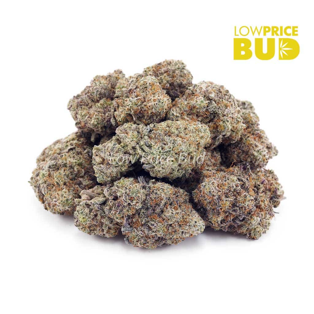 Unicorn Hunter (AAA) Buy Unicorn Hunter (AAA) online Canada