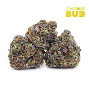 Candy Runtz (AAAA) Buy Candy Runtz (AAAA) online Canada