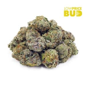 Death Bubba (AAA) Buy Death Bubba (AAA) online Canada