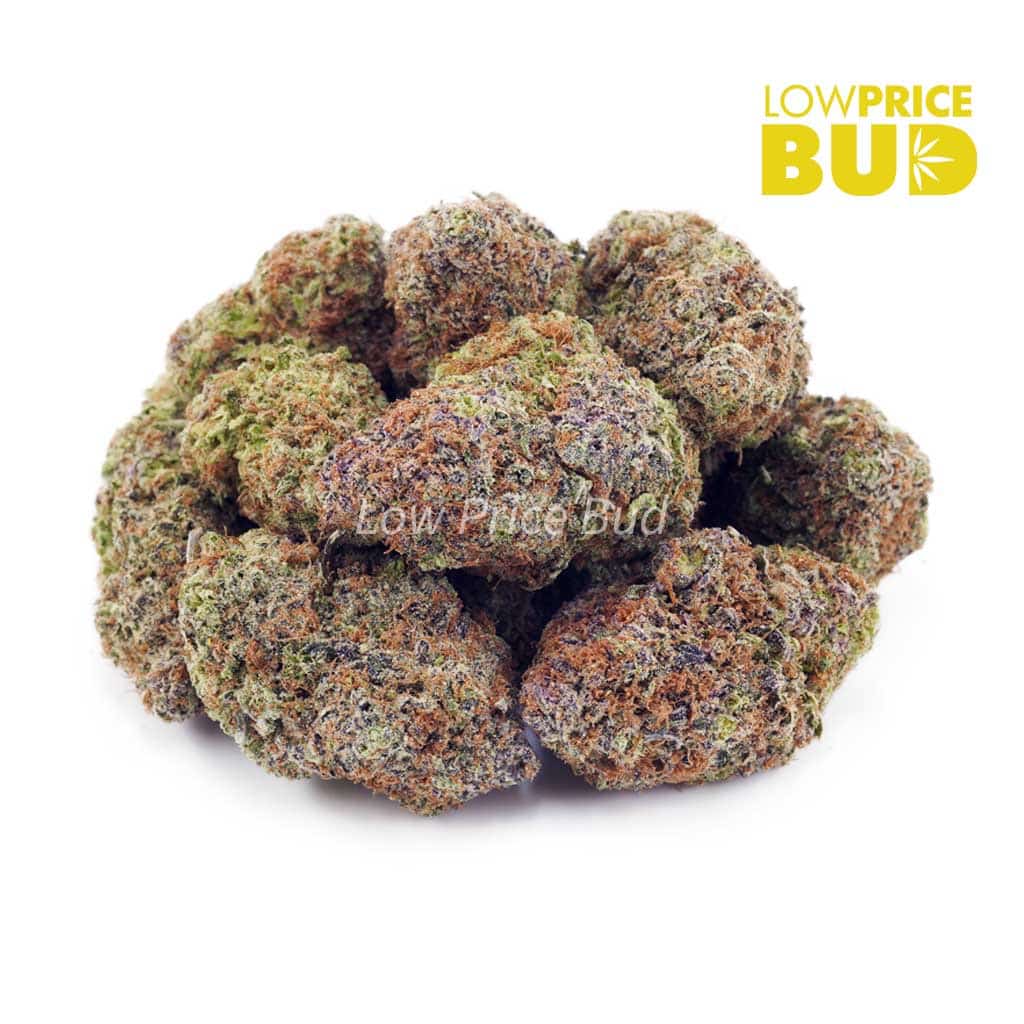 Gorilla Glue #4 (AAA) Buy Gorilla Glue #4 (AAA) online Canada