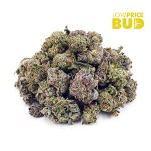Peaches and Cream (AAAA) – Popcorn Nugs Buy Peaches and Cream (AAAA) – Popcorn Nugs online Canada