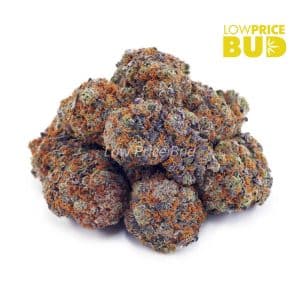 Buy Big Buddha Cheese (AAA) online Canada