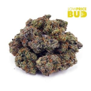 Buy Island Pink Kush (Craft Cannabis) online Canada