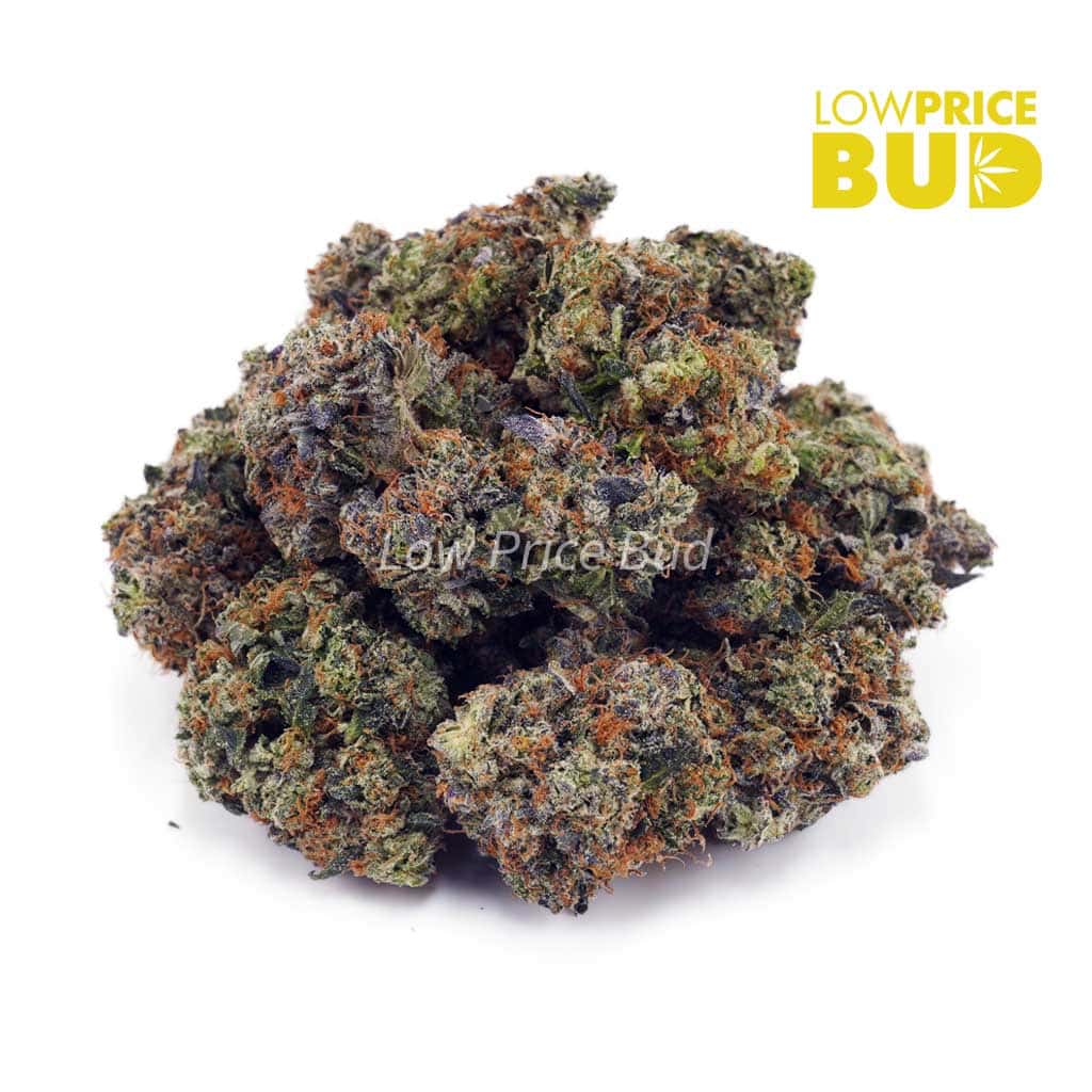 Buy Island Pink Kush (Craft Cannabis) online Canada