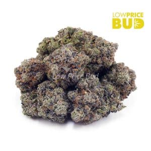 Buy Bubba Kush (AAAA) online Canada