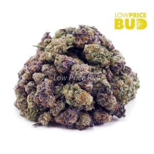 Blue Comatose (AAAA) – Popcorn Nugs Buy Blue Comatose (AAAA) – Popcorn Nugs online Canada