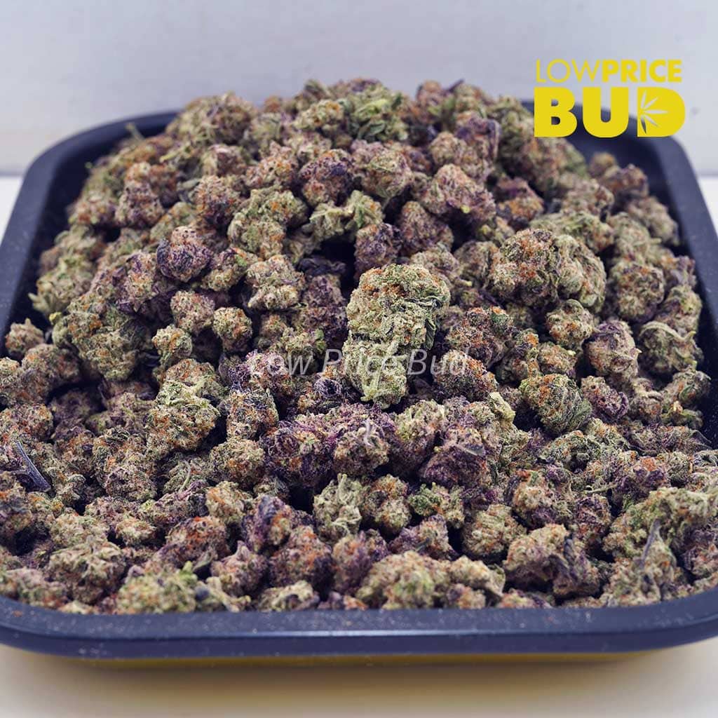 Buy Blue Comatose (AAAA) – Popcorn Nugs online Canada