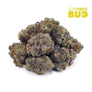 Buy Fucking Incredible (Craft Cannabis) online Canada