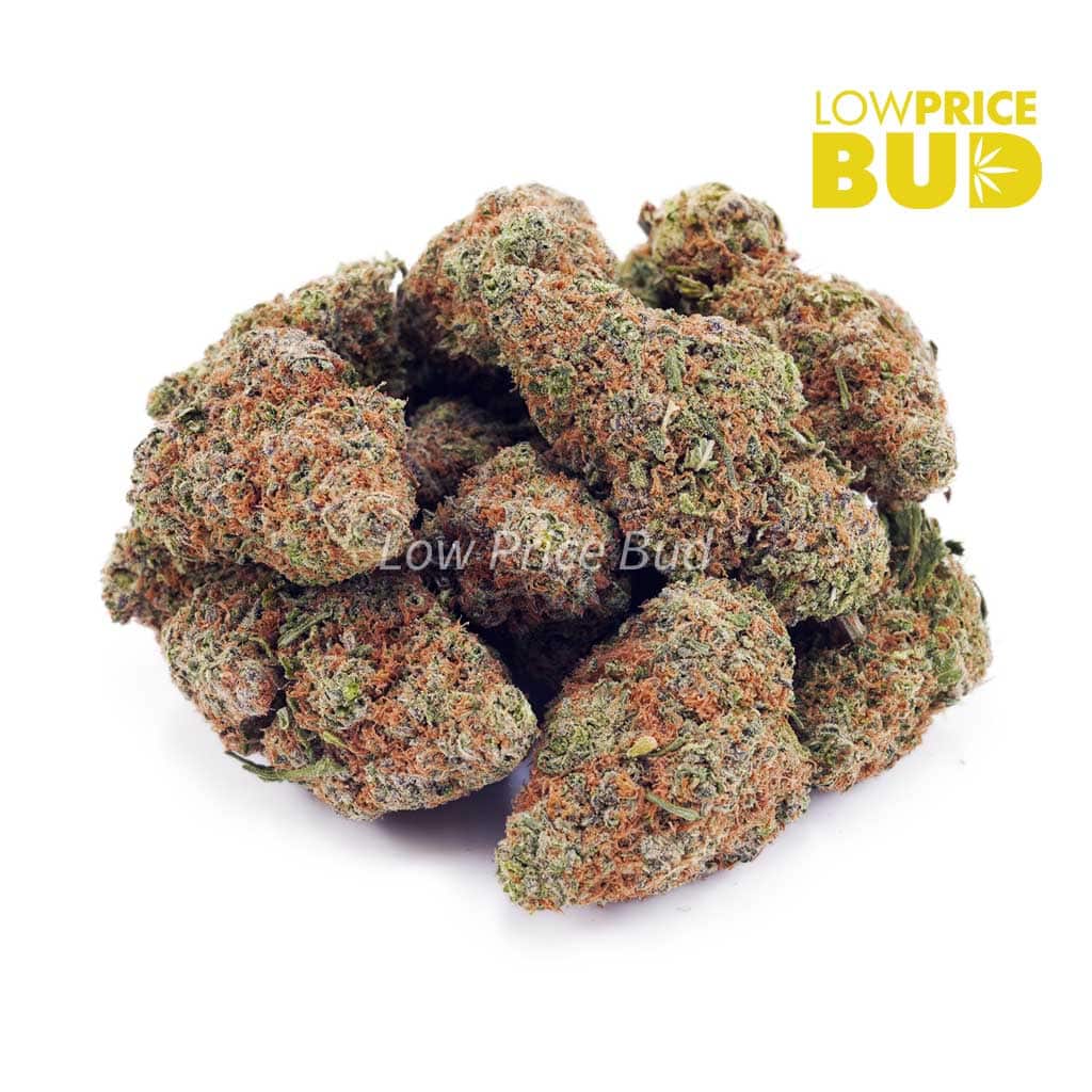 Buy Ice Cream Cake (AAA) online Canada