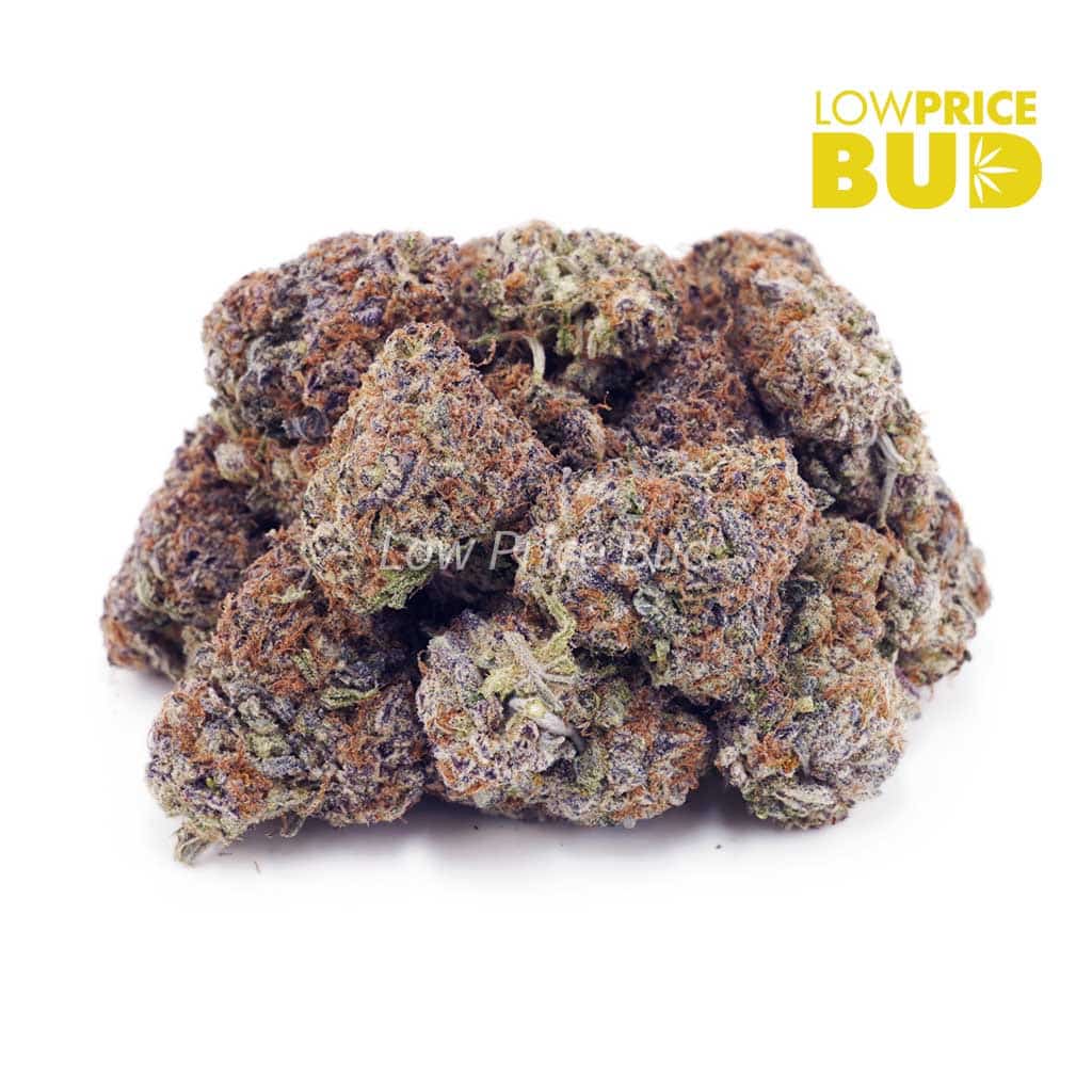 Buy ACDC (AA) online Canada