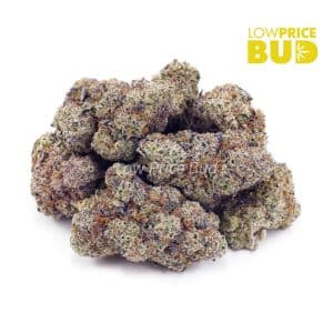 Buy Bacio Gelato (Craft Cannabis) online Canada