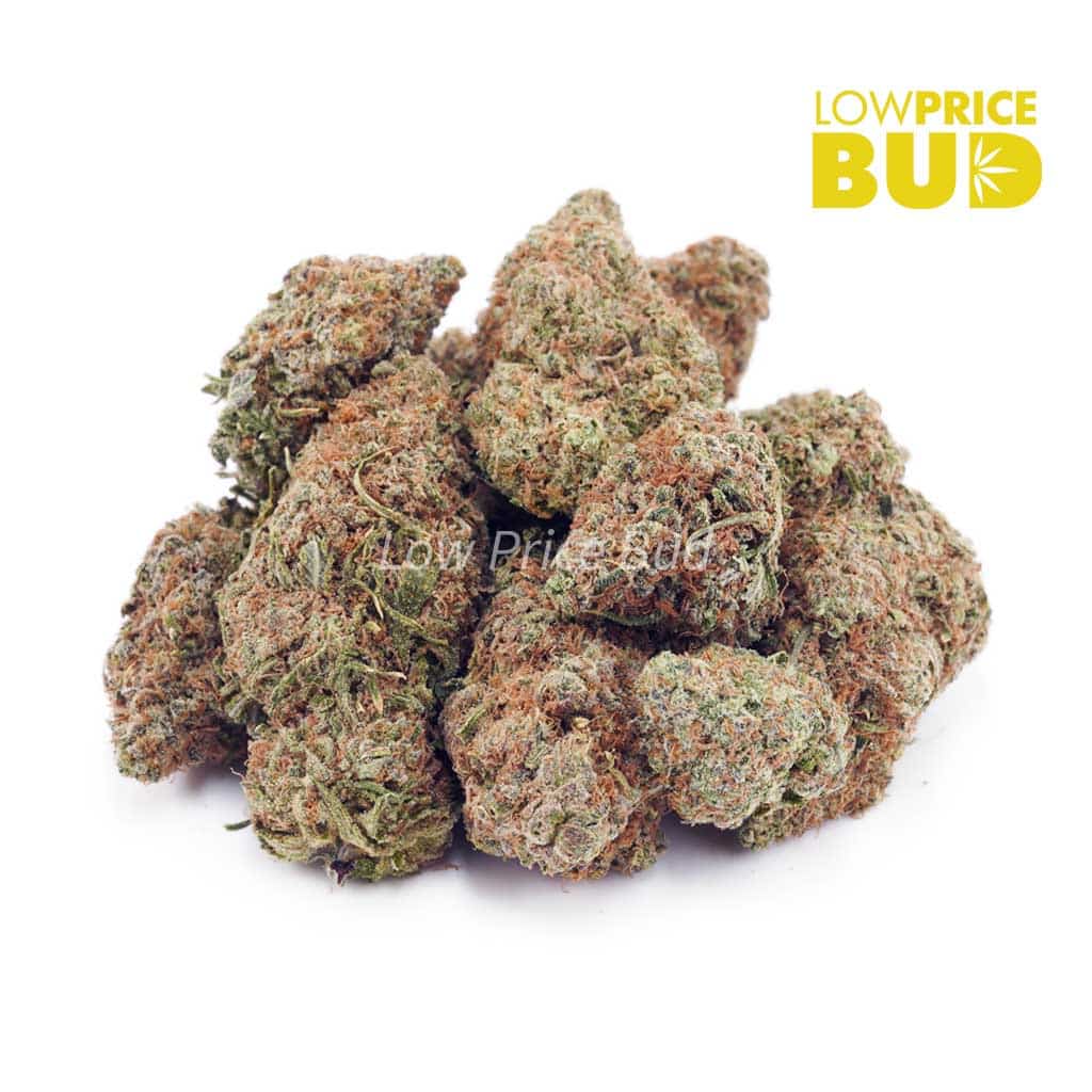 Buy Rainbow Kush (AA) online Canada
