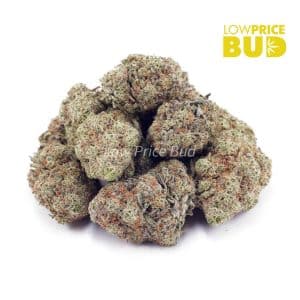 Buy White Fire OG (AAA) online Canada