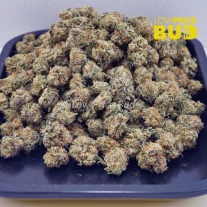Buy GMO Cookies (AAAA) – Popcorn Nugs online Canada