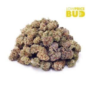 Buy Frosted Donut (AAAA) – Popcorn Nugs online Canada