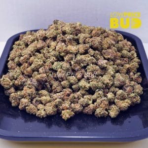 Buy Frosted Donut (AAAA) – Popcorn Nugs online Canada