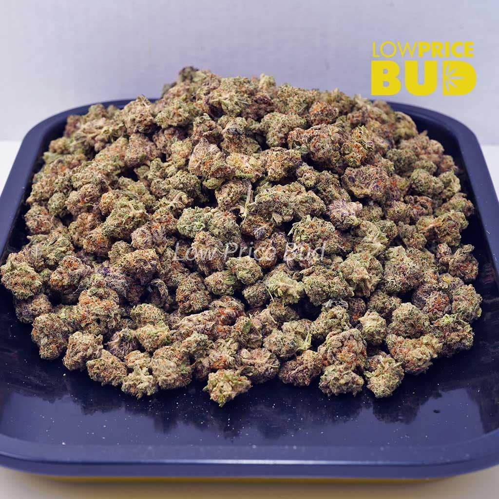 Buy Frosted Donut (AAAA) – Popcorn Nugs online Canada