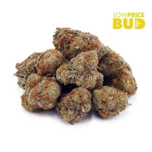 Buy Ice Cream Cookies (AA) online Canada