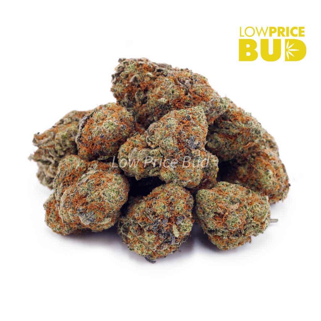 Buy Ice Cream Cookies (AA) online Canada