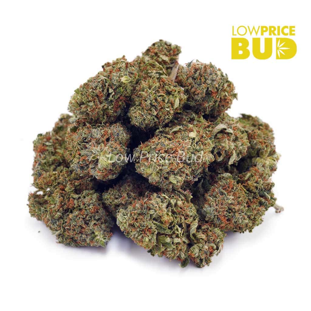 Buy Blueberry OG (AA) online Canada