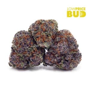 Buy Snoop Dog OG (AAA) online Canada