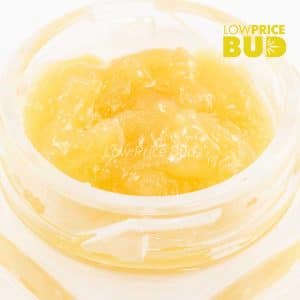 Live Resin – Blueberry Stomper Buy Live Resin – Blueberry Stomper online Canada